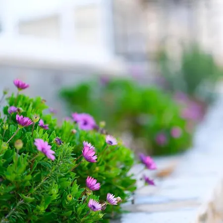 Apartamento Sunset House Vlorë