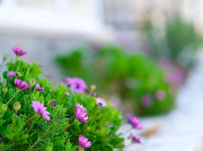 Apartment Sunset House Vlorë